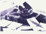 The Nanteos Cup, Wood